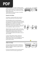 Siembra en Almácigo