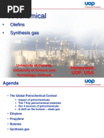 2.petrochemical - Olefins, Synthesis Gas