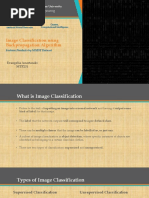 Image Classification Using Backpropagation Algorithm (Presentation)