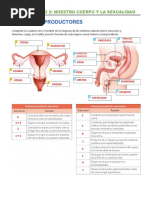 Solucionario Aparatos Reproductores