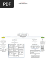 Daniela Montenegro Doncel. Mapa Conceptual