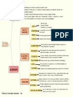 Ram Mapa Conceptual