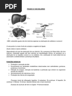 7 Fígado e Vias Biliares