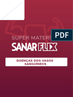 Doenças Dos Vasos Sanguíneos - SM