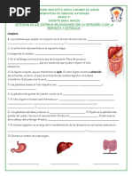 Actividad de Los Sistemas Relacionados Con La Nutrición y Con La Respuesta A Estímulos (28065)