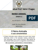 Aula de Ciências - Reino Animal (Parte I) - 7º Anos VC