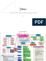 Cancer Vulvar Mapa Conceptual