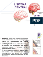 Sepsis Sistema Nervioso