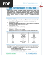 Variables y Constantes en Visual