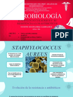 Staphylococcus Aureus y Su Resistencia A Los Antibióticos