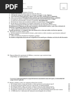 Practica 1 Cirana