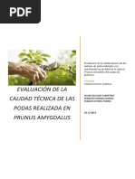 Práctica 3. Evaluación de Poda (Calificación 9)