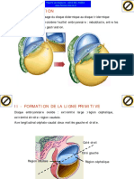 Embryo Sem3 090304133401 Phpapp02