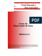 Curso de Observação de Aves: Módulo Iv