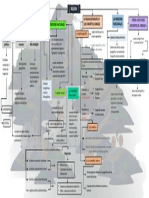 Mapa Conceptual