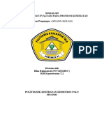 Makalah Monitoring Dan Evaluasi Pada Promosi Kesehatan Dosen Pengampu