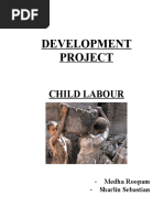 Development Project: Child Labour