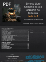 5 E 6 - Síntese Livro Grimório para o Aprendiz de Feiticeiro