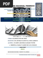 Ensayo N°10-Ocampo y Orihuela-Et-Unfv