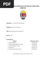 Informe - Tipos Especiales de Contaminacion