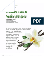 Producción in Vitro De: Vanilla Planifolia