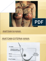 Anatomia Aula