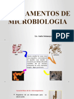 Tema 1 Fundamentos de Microbiologia