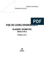 Fişe de Lucru Diferenţiate: Algebră, Geometrie