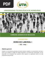 Modulo VIII Derecho Laboral