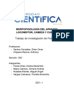 Trabajo de Investigación - Fisiología