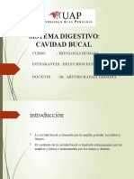 Cavidad Bucal