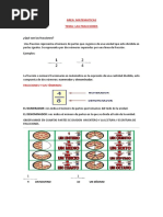 Las Fracciones