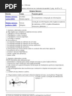 Atividades de Recesso Silene - Ciências 8 Ano