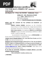 Solicita Nulidad de Acto Procesal Americo Mamani