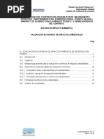 EIA UF4 1 CAP 10 Eval Econ Ambiental