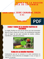 Flora y Fauna de La Región Pacífica de