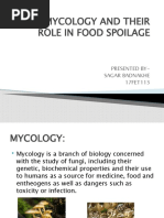 Basic Mycology and Their Role in Food Spoilage: Presented By-Sagar Badnakhe 17FET113