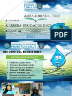 Proyecto Ecosistema