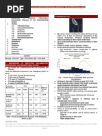 Batch Trans Infectious 3rd Year Prelim