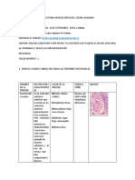 Taller Introduccion Al Estudio Microscopico Del Cuerpo Humano