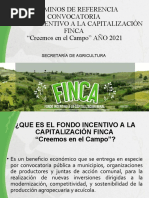 Presentación TDR Finca 2021