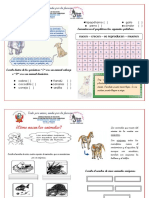 Animales Domésticos