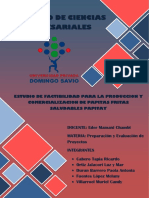 Proyecto Final Papitay Evaluacion Proyectos