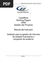 CaseWare Working Papers Gestión Del Proyecto 2009