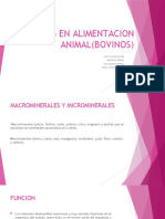 PDF Documento