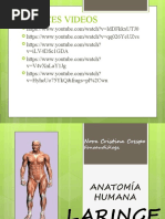 Anatomía Humana Laringe