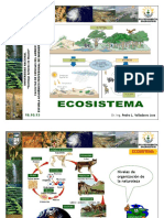 U2 Ecosistema 2013 I