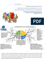 Lopez Michel, Mapa Admon Estrategica