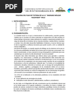 ESQUEMA DEL PLAN DE TUTORIA - Copia 2020