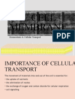 The Cell Membrane: Homeostasis & Cellular Transport